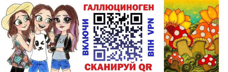 продажа наркотиков Горбатов Псилоцибиновые грибы Cubensis